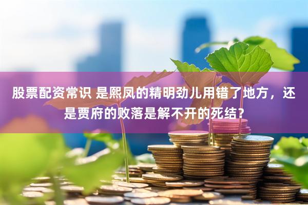 股票配资常识 是熙凤的精明劲儿用错了地方，还是贾府的败落是解不开的死结？