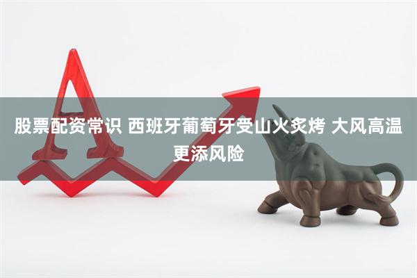股票配资常识 西班牙葡萄牙受山火炙烤 大风高温更添风险