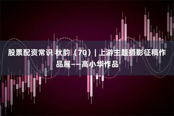 股票配资常识 秋韵（70）| 上游主题摄影征稿作品展——高小华作品