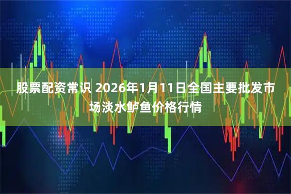 股票配资常识 2026年1月11日全国主要批发市场淡水鲈鱼价格行情