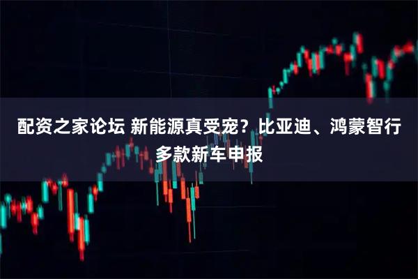 配资之家论坛 新能源真受宠？比亚迪、鸿蒙智行多款新车申报